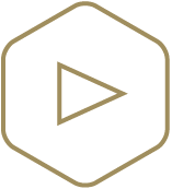 Ediciones anteriores